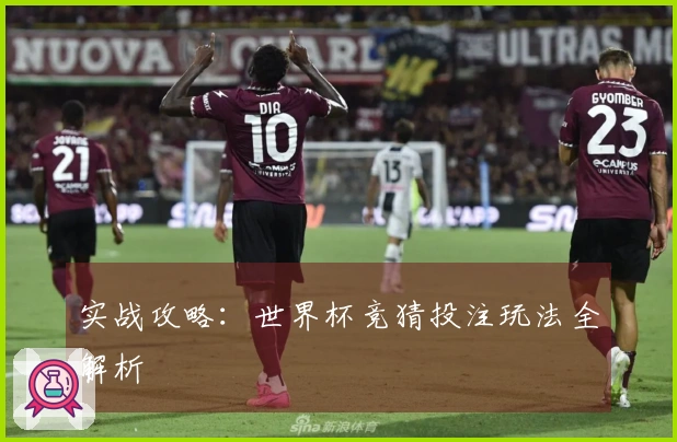 实战攻略：世界杯竞猜投注玩法全解析