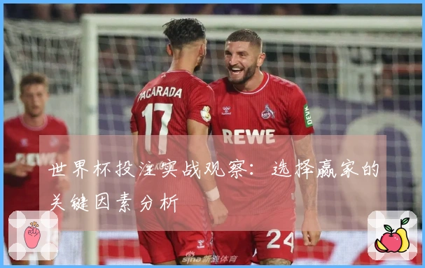世界杯投注实战观察：选择赢家的关键因素分析