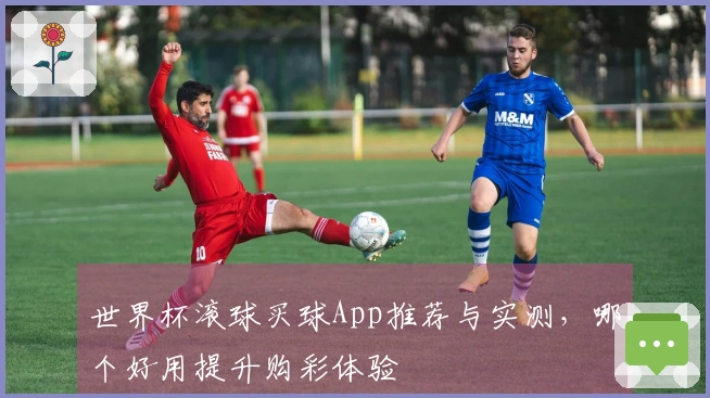世界杯滚球买球App推荐与实测，哪个好用提升购彩体验