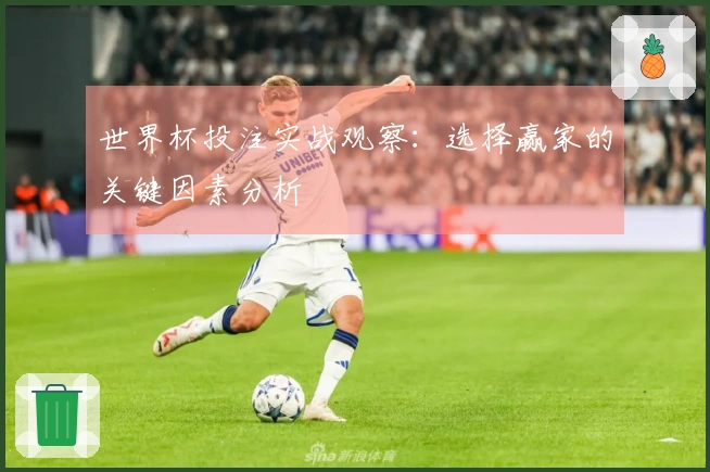 世界杯投注实战观察:选择赢家的关键因素分析