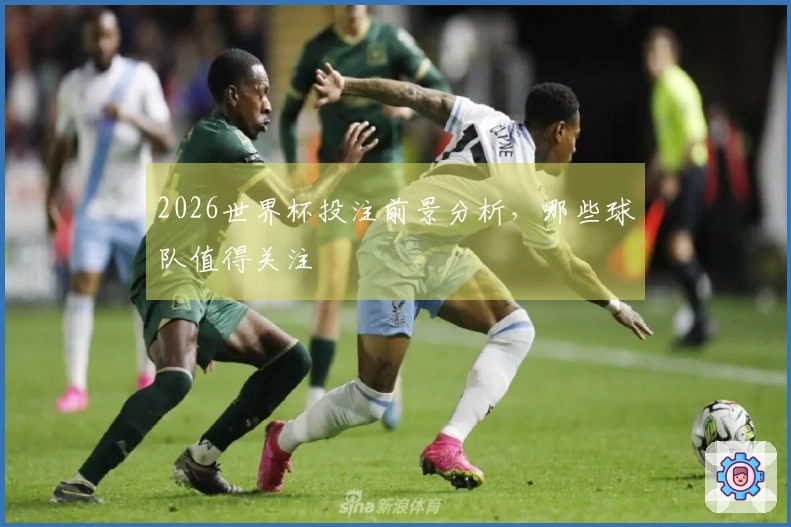 2026世界杯投注前景分析，哪些球队值得关注