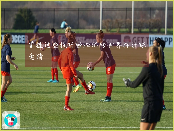 掌握这些技巧轻松玩转世界杯让球竞猜