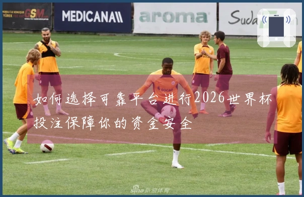 如何选择可靠平台进行2026世界杯投注保障你的资金安全