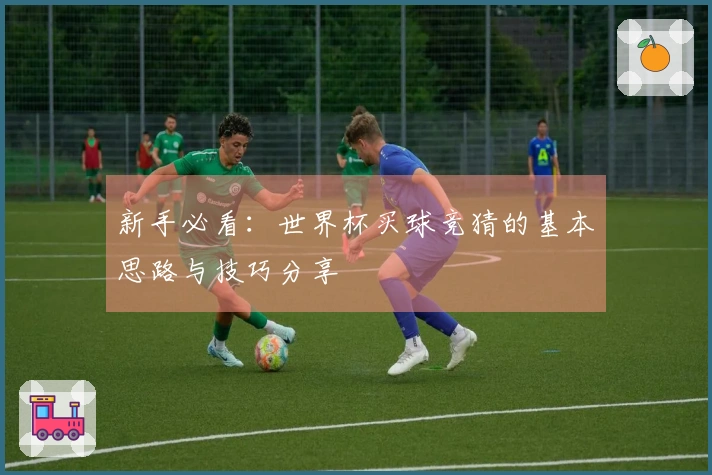 新手必看：世界杯买球竞猜的基本思路与技巧分享
