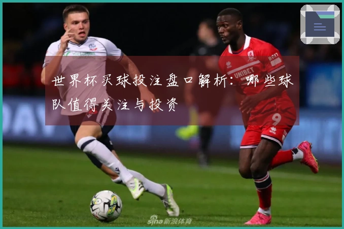 世界杯买球投注盘口解析：哪些球队值得关注与投资