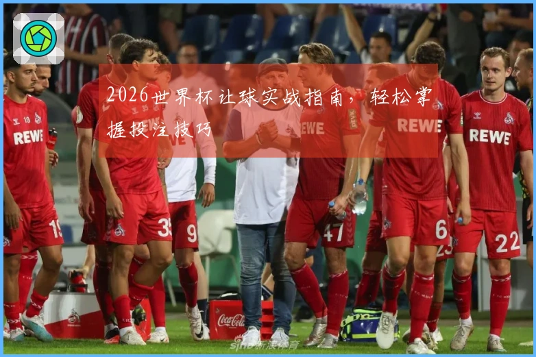 2026世界杯让球实战指南，轻松掌握投注技巧
