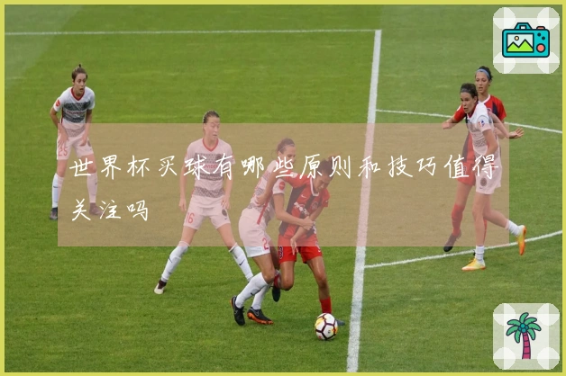 世界杯买球有哪些原则和技巧值得关注吗