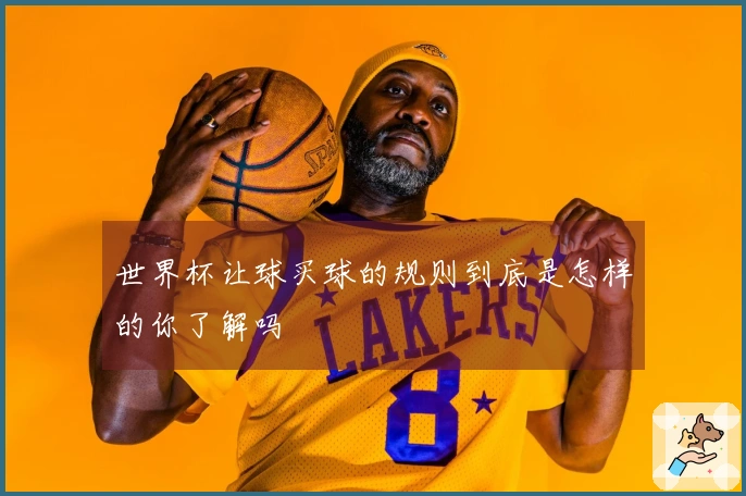 世界杯让球买球的规则到底是怎样的你了解吗