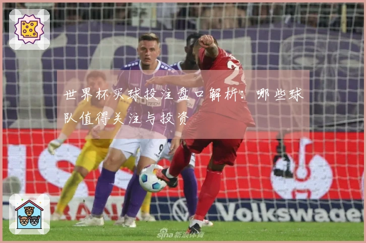 世界杯买球投注盘口解析：哪些球队值得关注与投资