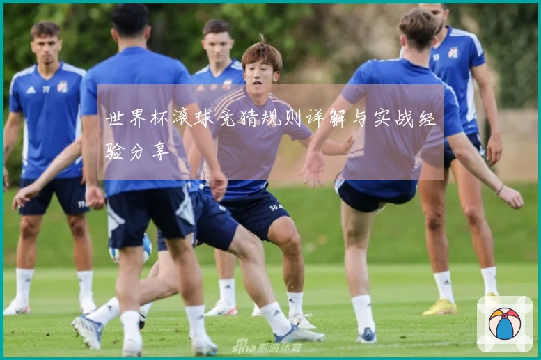 世界杯滚球竞猜规则详解与实战经验分享