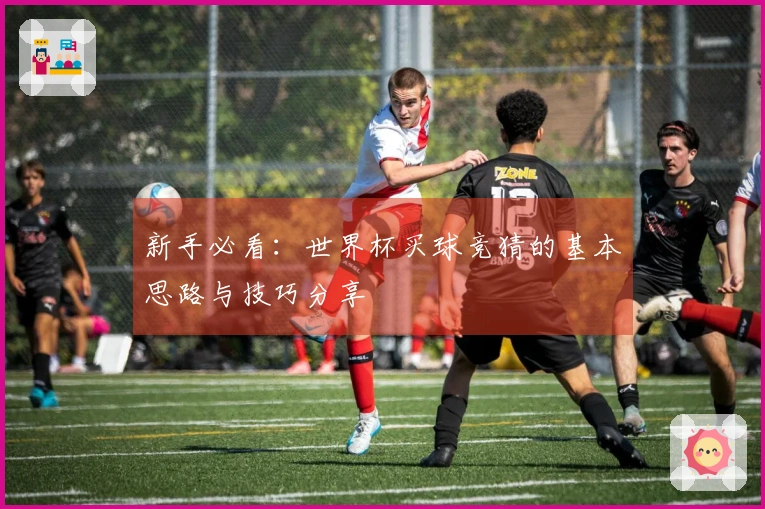 新手必看：世界杯买球竞猜的基本思路与技巧分享