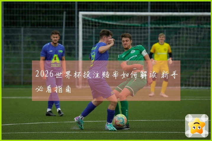 2026世界杯投注赔率如何解读 新手必看指南