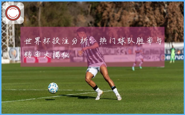 世界杯投注分析：热门球队胜率与赔率大揭秘