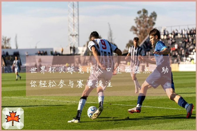 世界杯买球竞猜入口全面盘点，助你轻松参与赛事投注