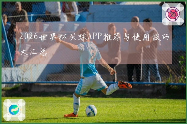 2026世界杯买球APP推荐与使用技巧大汇总
